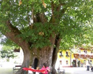 Foto mit Vereinsschal in Faistenau