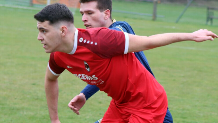 Bild der aktuellen Meldung